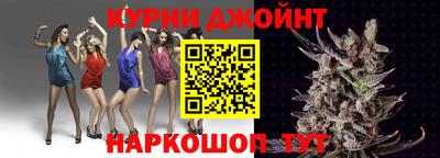 apvp Кингисепп