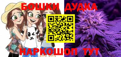apvp Кингисепп