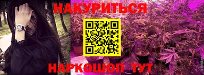 apvp Кингисепп