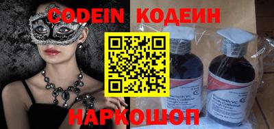 apvp Кингисепп