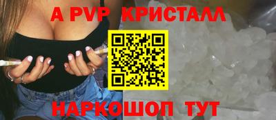 apvp Кингисепп