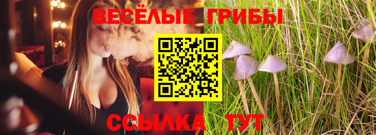 Галлюциногенные грибы MAGIC MUSHROOMS  Вход с VPN  Шелехов  Псилоцибиновые грибы Magic Shrooms 