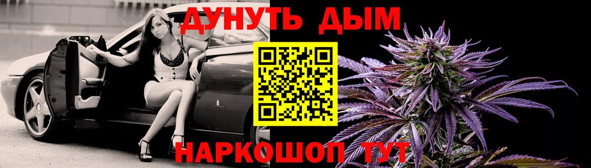 Бошки Шишки Amnesia  Конопля конопля  Шелехов  Вход с VPN  Бошки Шишки гибрид 